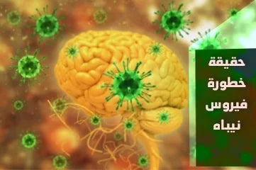 حقيقة خطورة فيروس نيباه